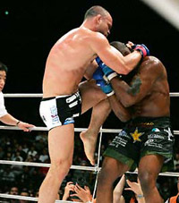 mixed martial arts lyon